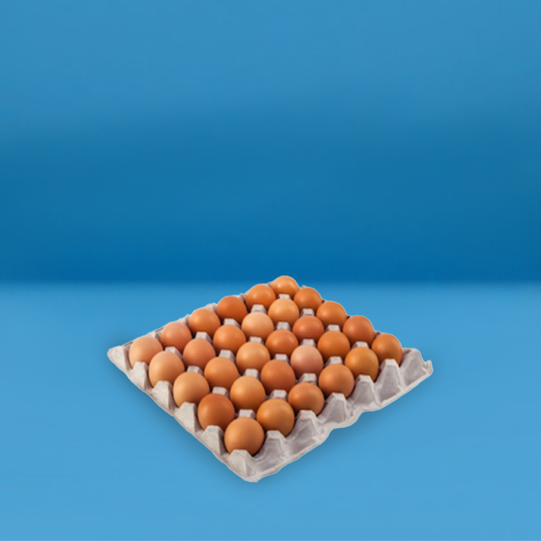 بيض أحمر 30 قطعة