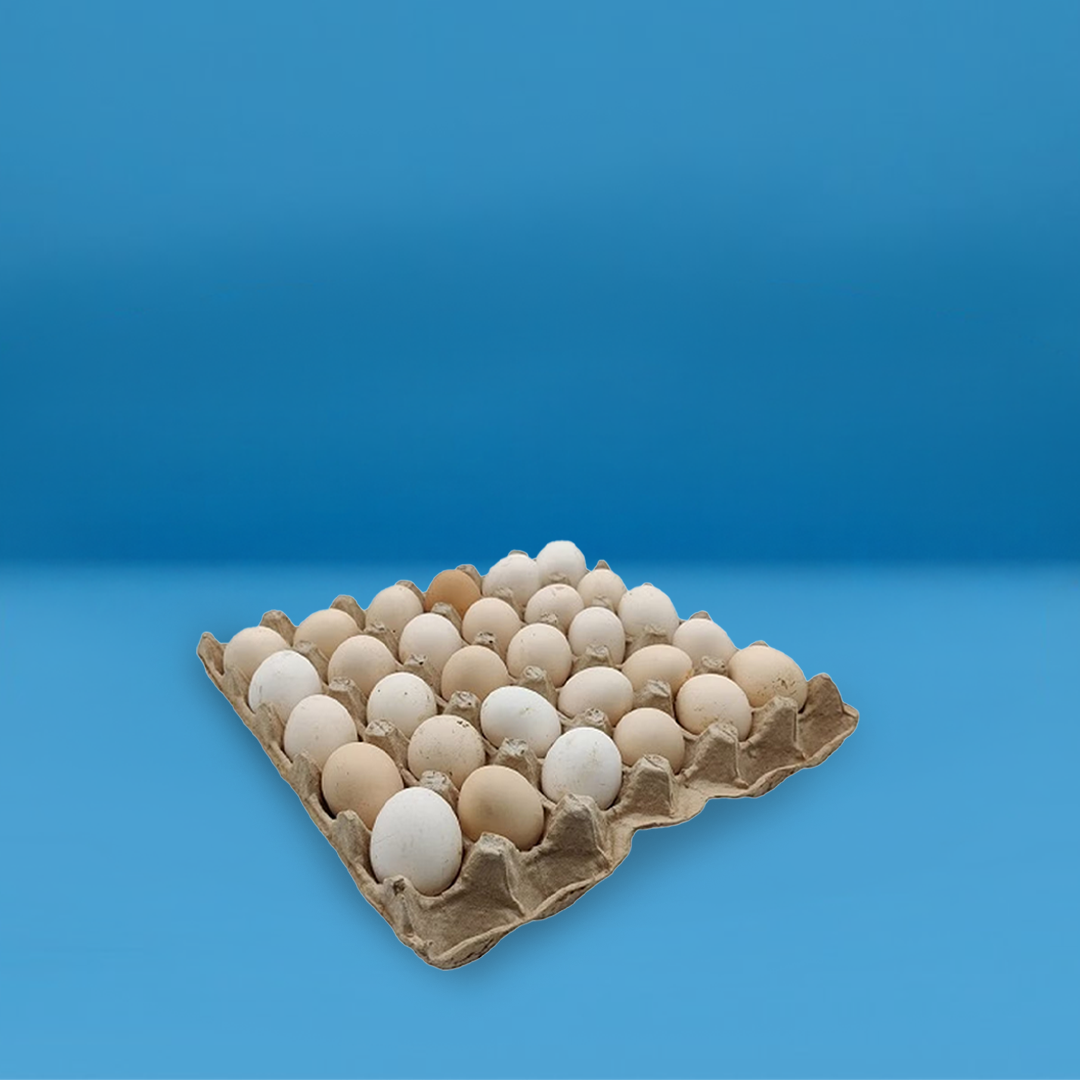 بيض بلدي 30 قطعة
